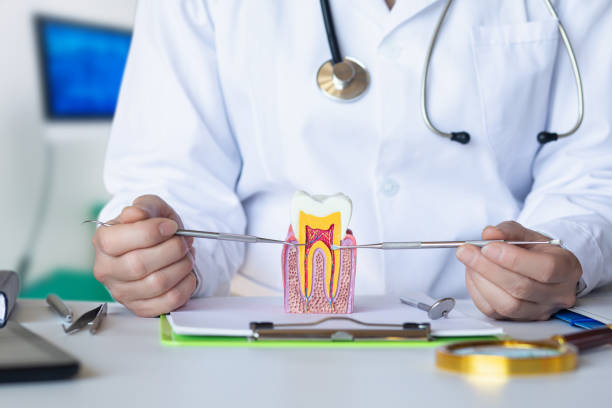 Best Dental Abscess Treatment in Clay, KY